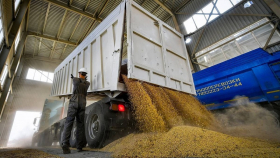 В российский интервенционный фонд закупили более 5,5 тыс тонн зерна